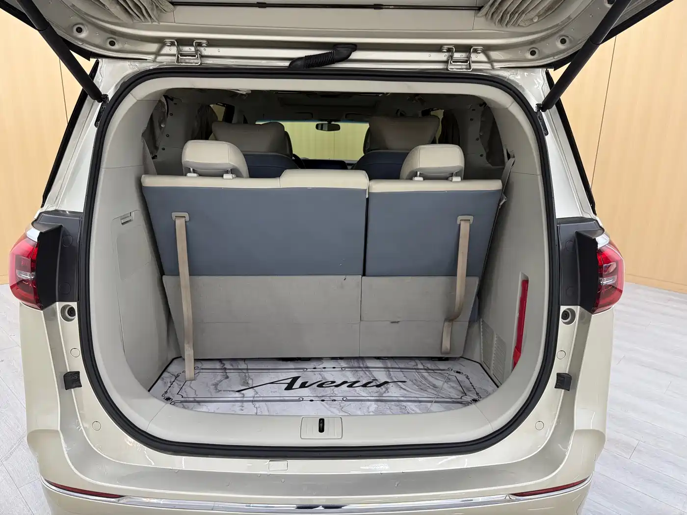 Buick GL8 2023 ES Landmaster Comfort фото 8