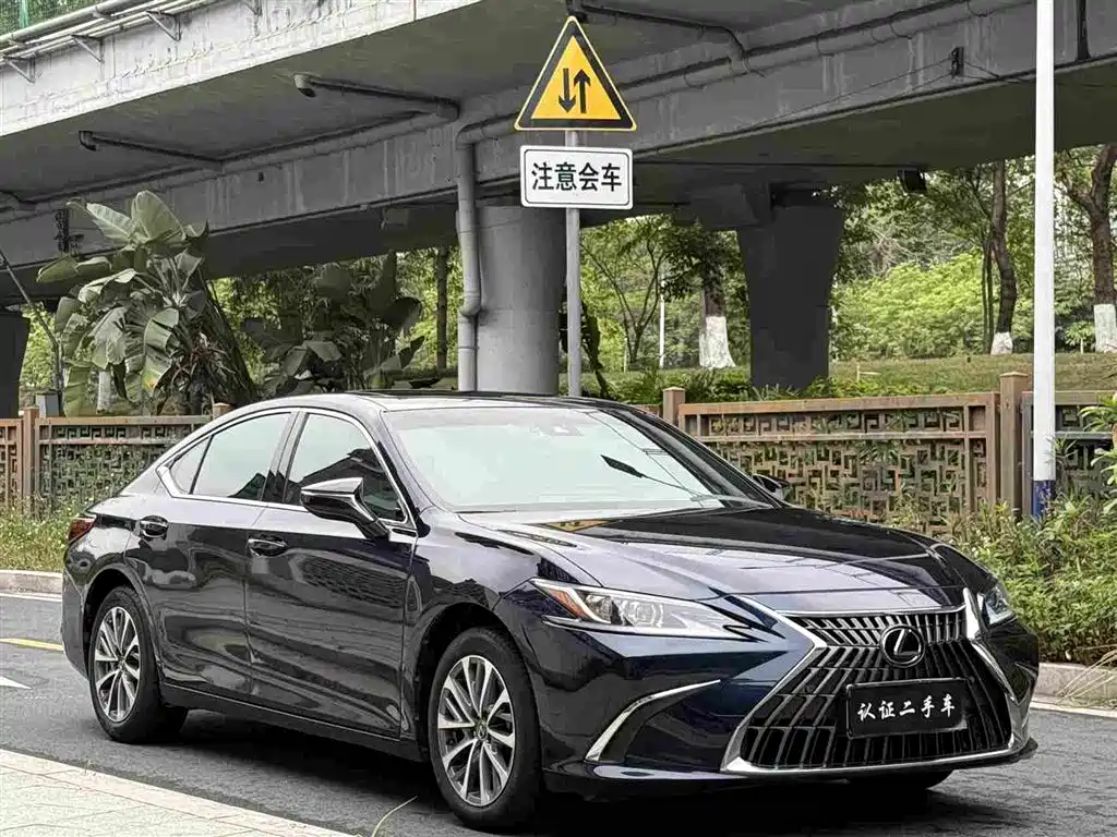 Lexus ES 2022 200 Excellence Edition фото 12