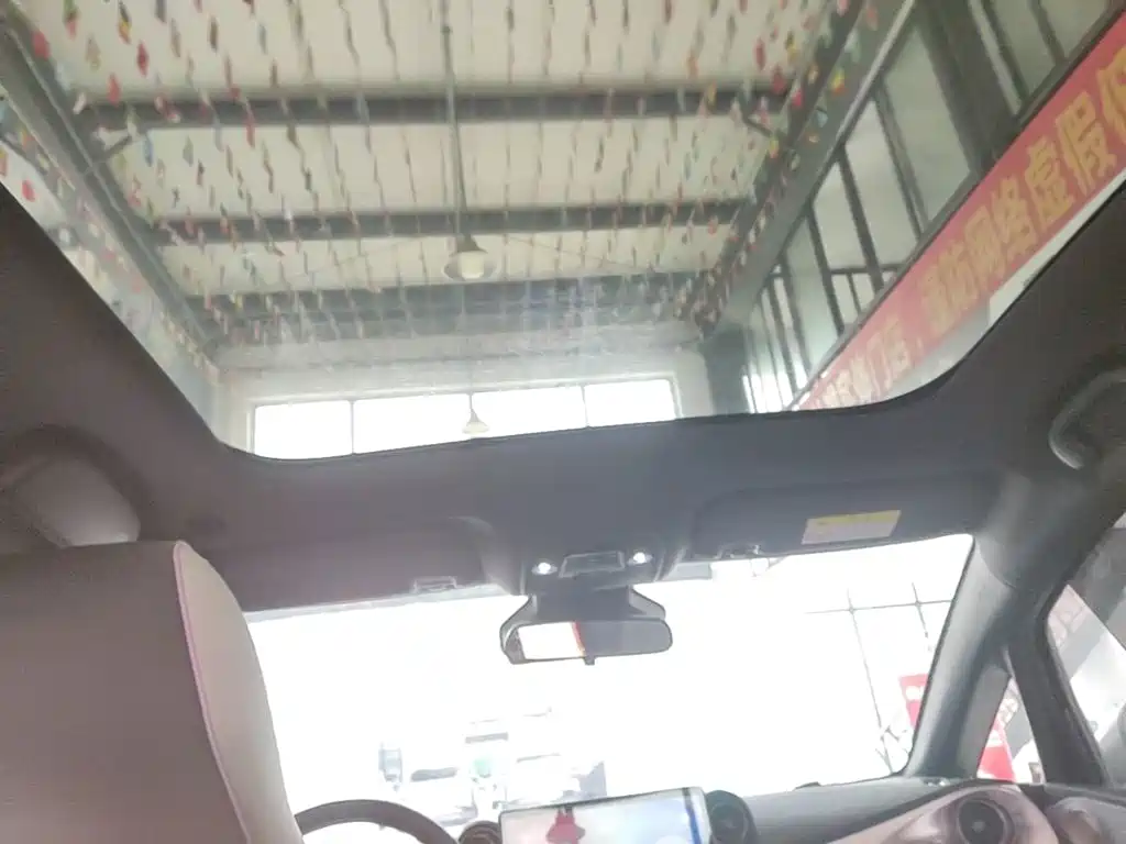 BYD Dolphin 2021 2021 401km Knight Edition