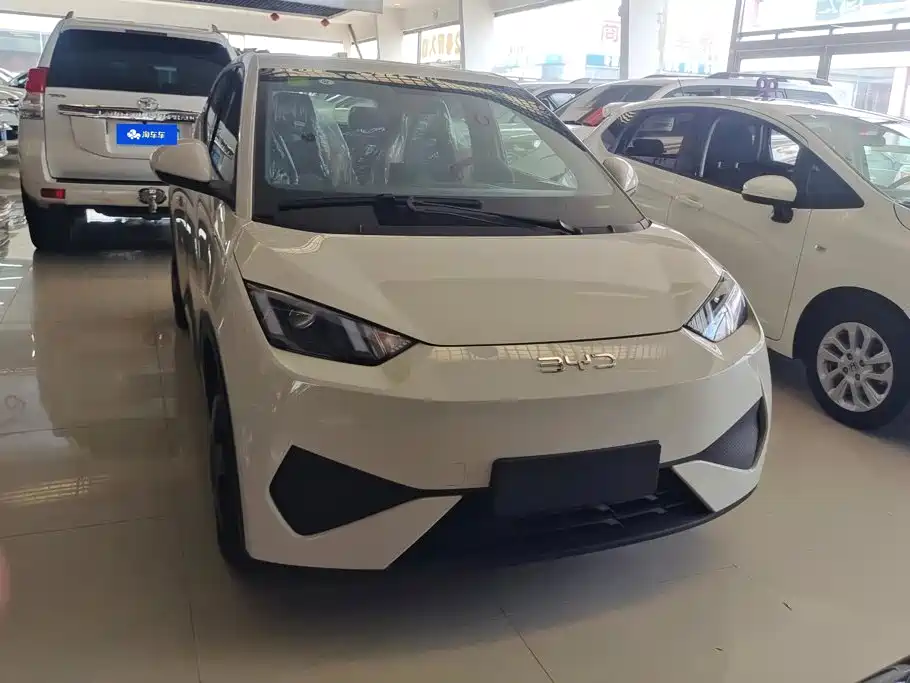 BYD Seagull 2026 2025 Smart Drive Edition 305km Vitality Version