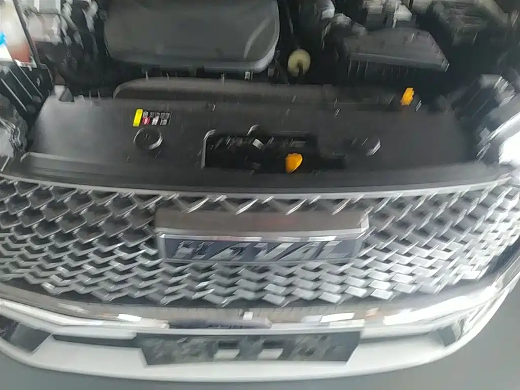 Haval H6 2022 3rd Gen 1.5T Auto 2WD Pro фото 20