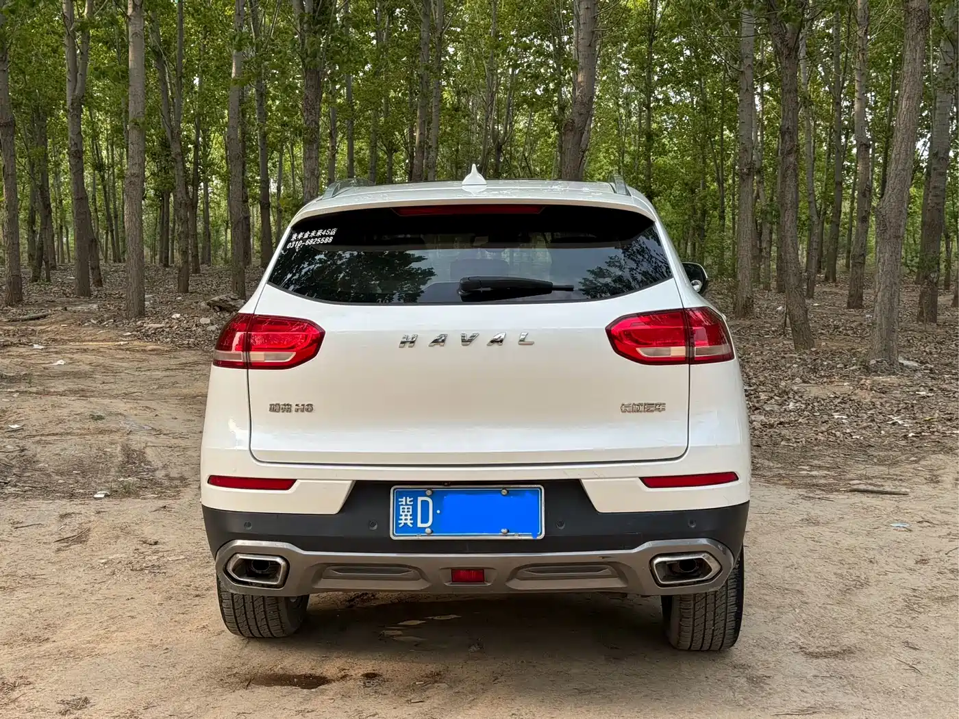 Haval H6 2020 1.5GDIT Automatic Platinum Luxury Edition фото 4