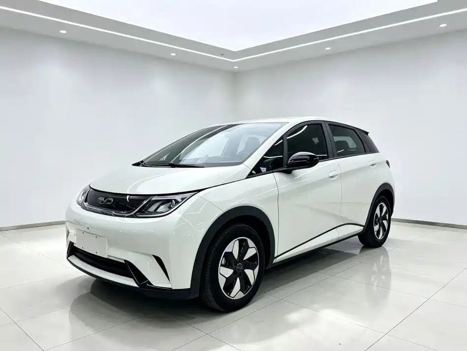 BYD Dolphin 2024 Glory Edition 420km Freedom Edition