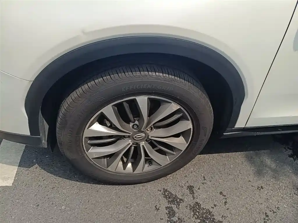 GAC Trumpchi Trumpchi GS8 2019 390T 2WD Luxury Smart Connect Edition (7-seater) фото 23