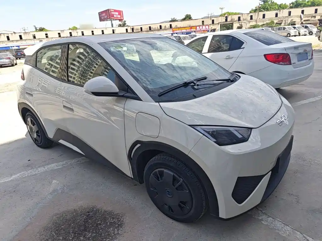 BYD Seagull 2026 2025 Smart Drive Edition 305km Vitality Version
