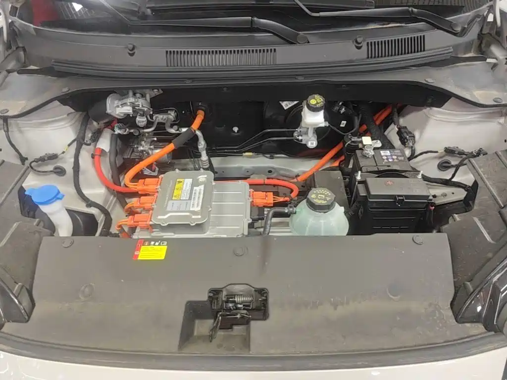 Wuling Motors Wuling Binguo PLUS 2026 2024 401km Range 5-seater