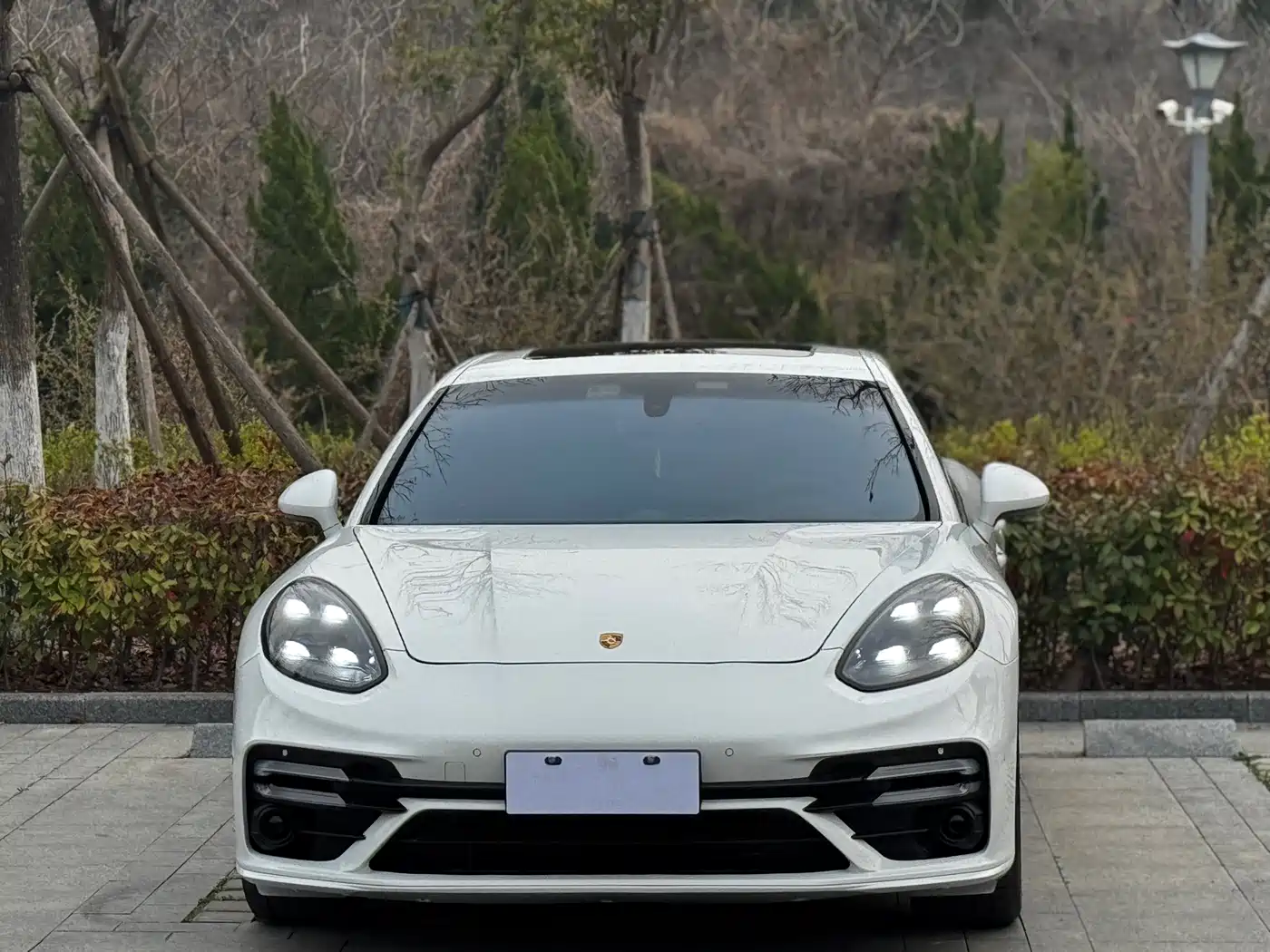 Porsche Panamera 2014 Panamera 3.0T фото 2