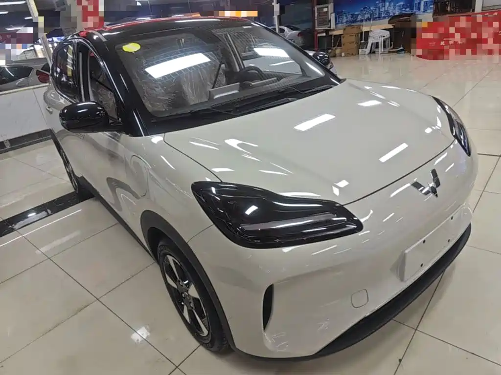 Wuling Motors Wuling Binguo PLUS 2026 2024 401km Range 5-seater