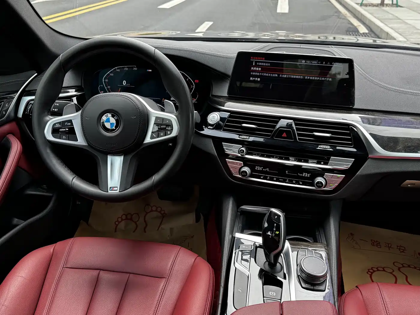 BMW 5 Series 2020 530Li Leading M Sport Package фото 10