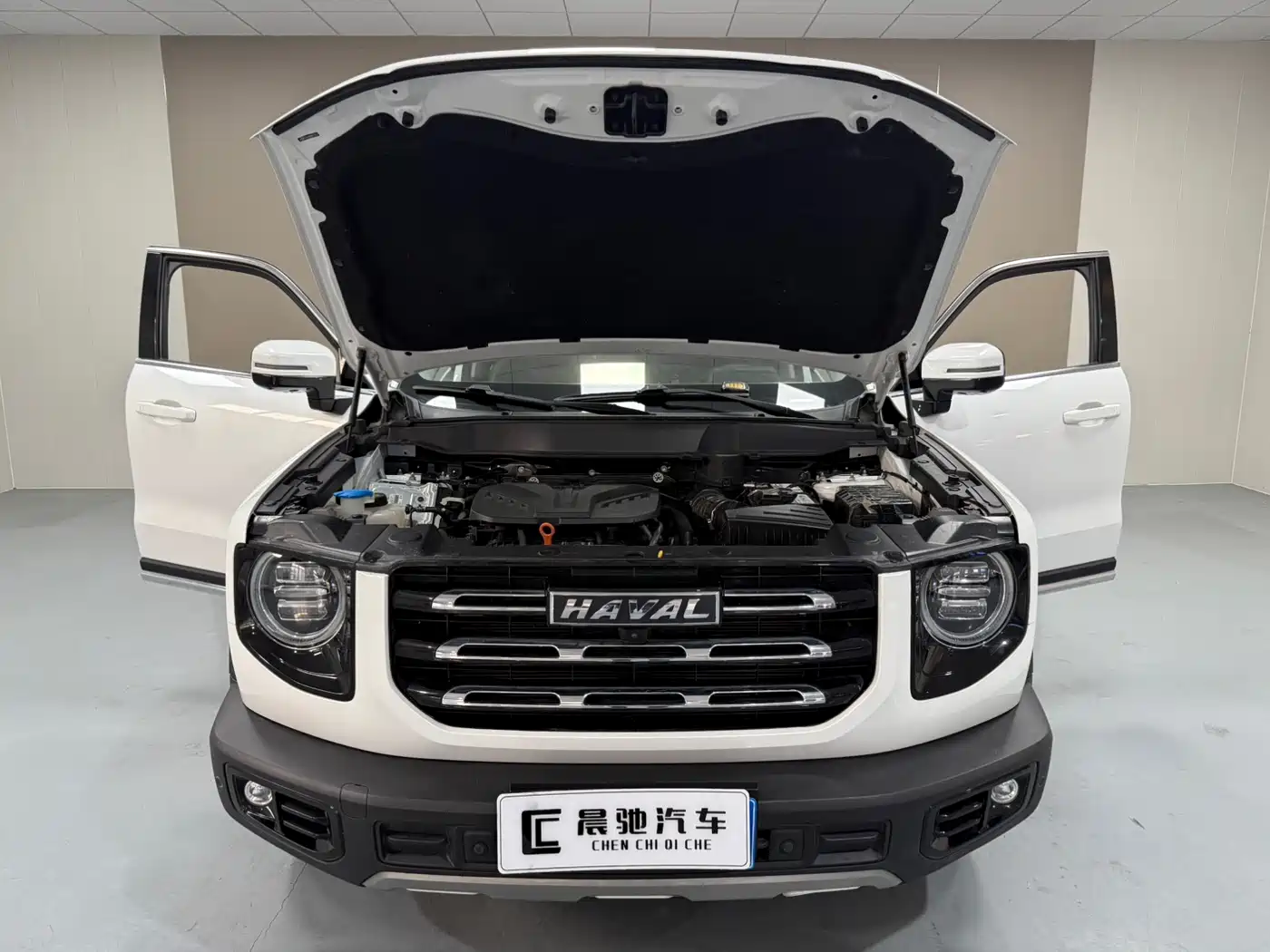 Haval Big Dog 2021 2.0T DCT 2WD Chinese Hound Edition фото 15
