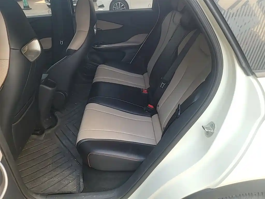 BYD Dolphin 2024 Glory Edition 420km Freedom Edition фото 13