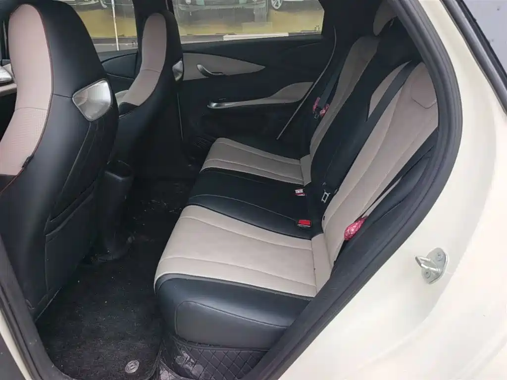 BYD Dolphin 2025 420km Freedom Edition фото 17