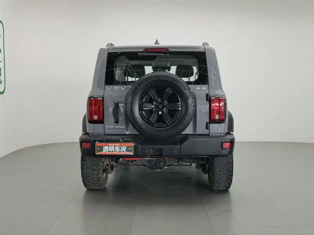 Tank 300 2021 Off-road Version 2.0T Conqueror фото 4