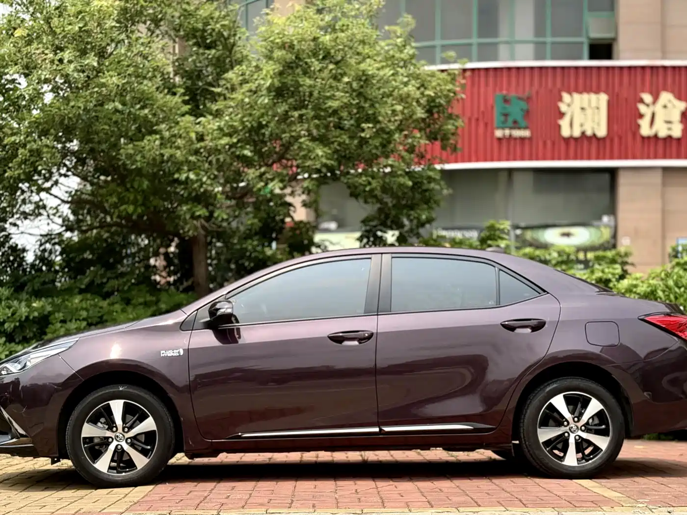 Toyota Levin Twin Engine E+ 2019 1.8PH GS E-CVT Elite Edition фото 14