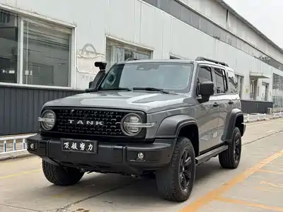 Tank 300