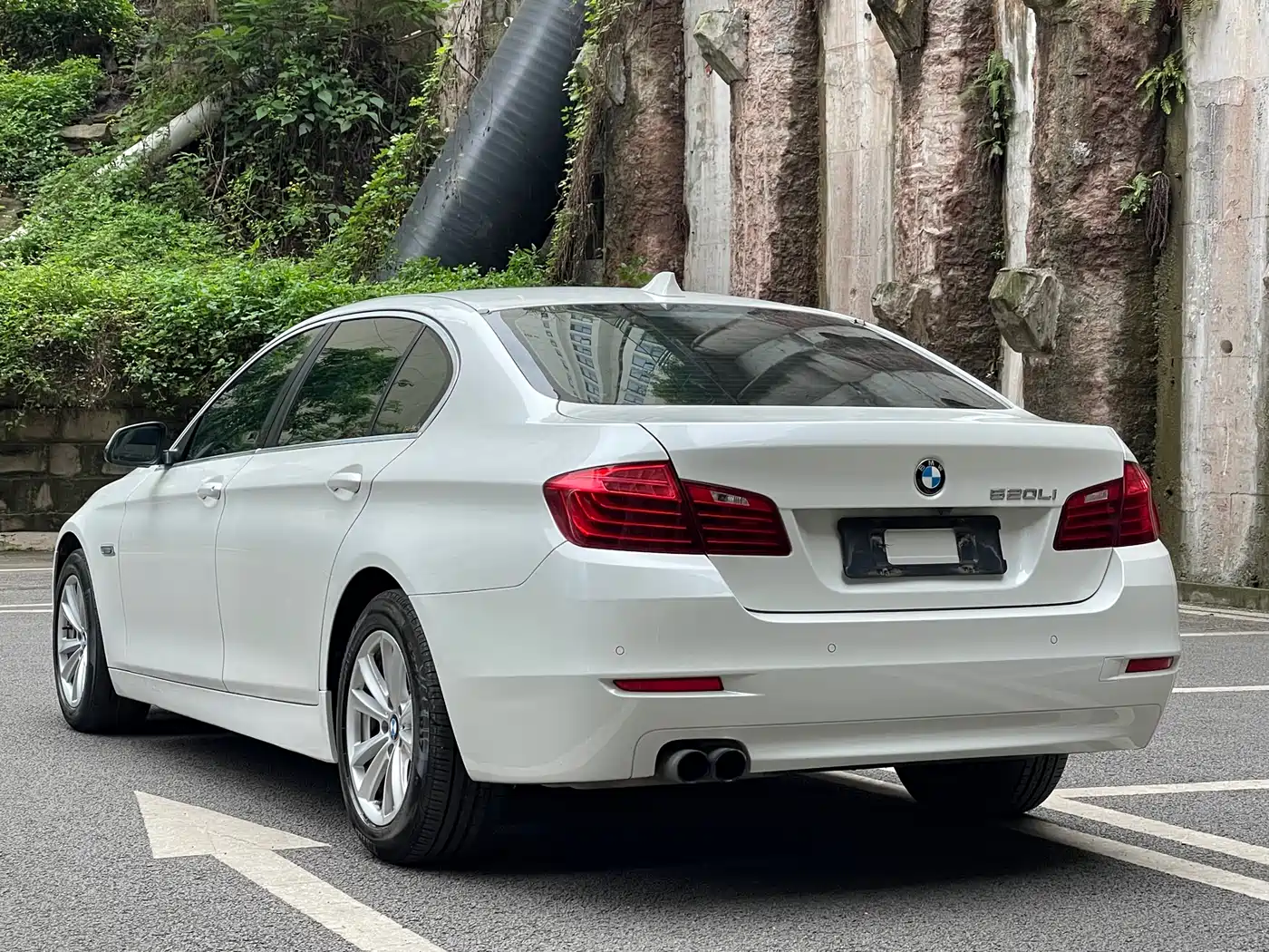 BMW 5 Series 2014 520Li Elegance фото 5