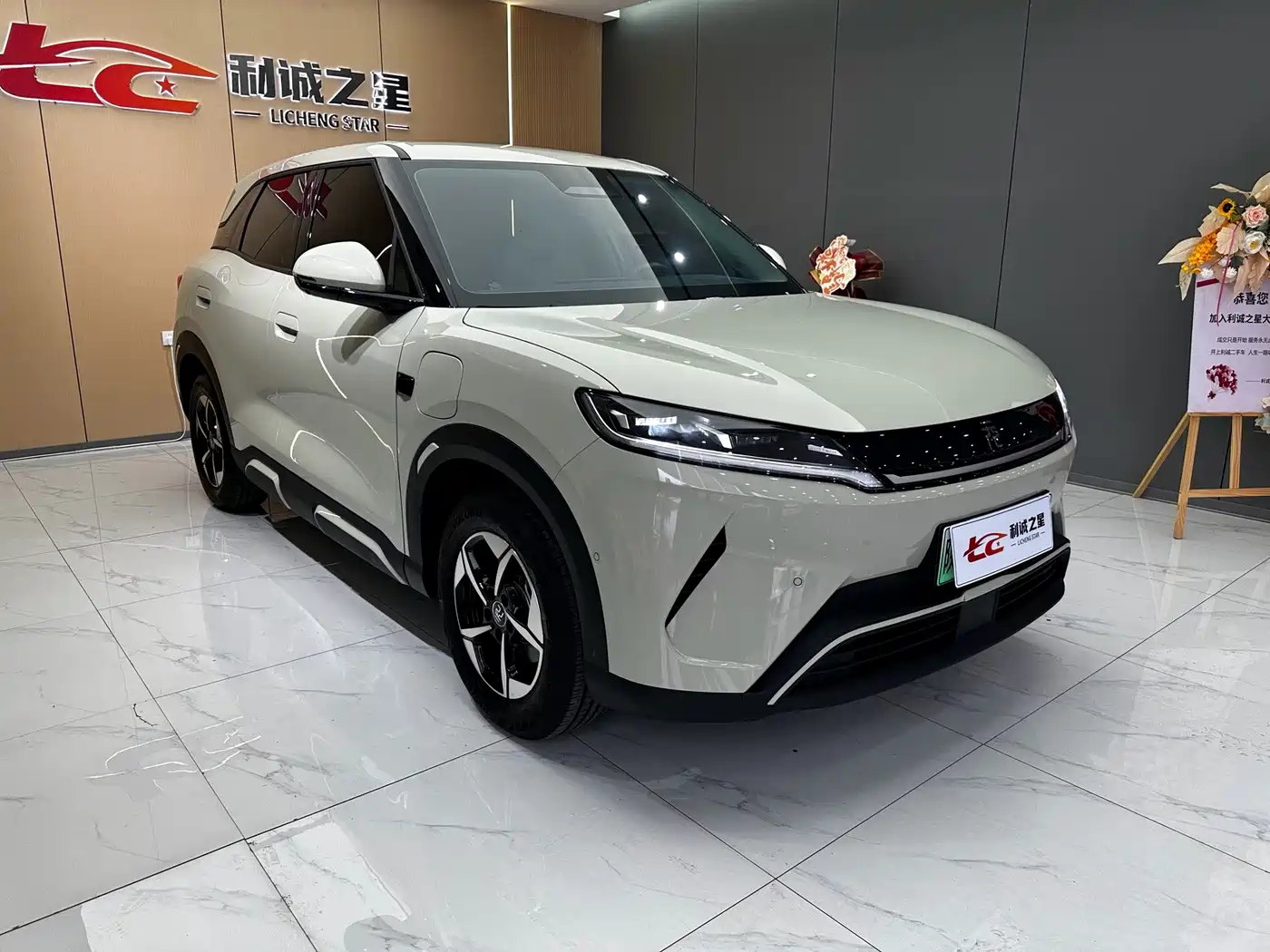 BYD Yuan UP 2025 2025 Smart Drive Edition 401KM Leading Type