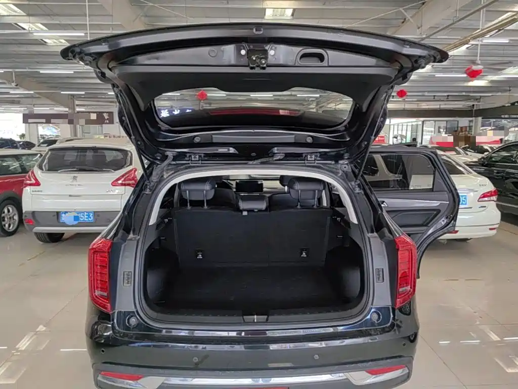 Haval First Love 2021 2021 1.5T Automatic Premium Edition