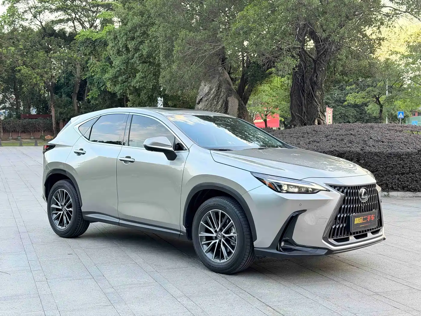Lexus NX 2025 2025 260 FWD Special Edition