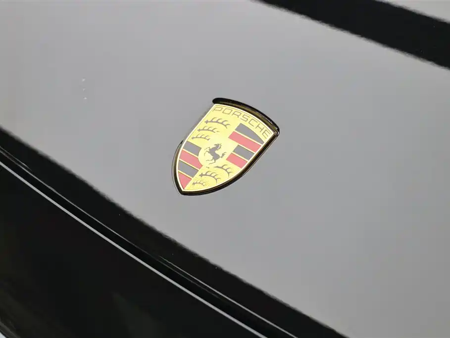 Porsche Cayenne 2023 Cayenne 3.0T Platinum Edition фото 30