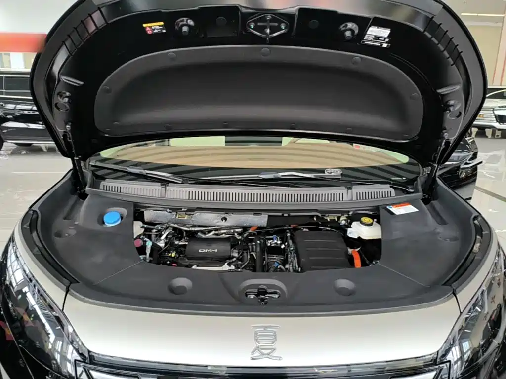 BYD Xia 2025 2025 DM-i 1.5T 100km Surpass Edition