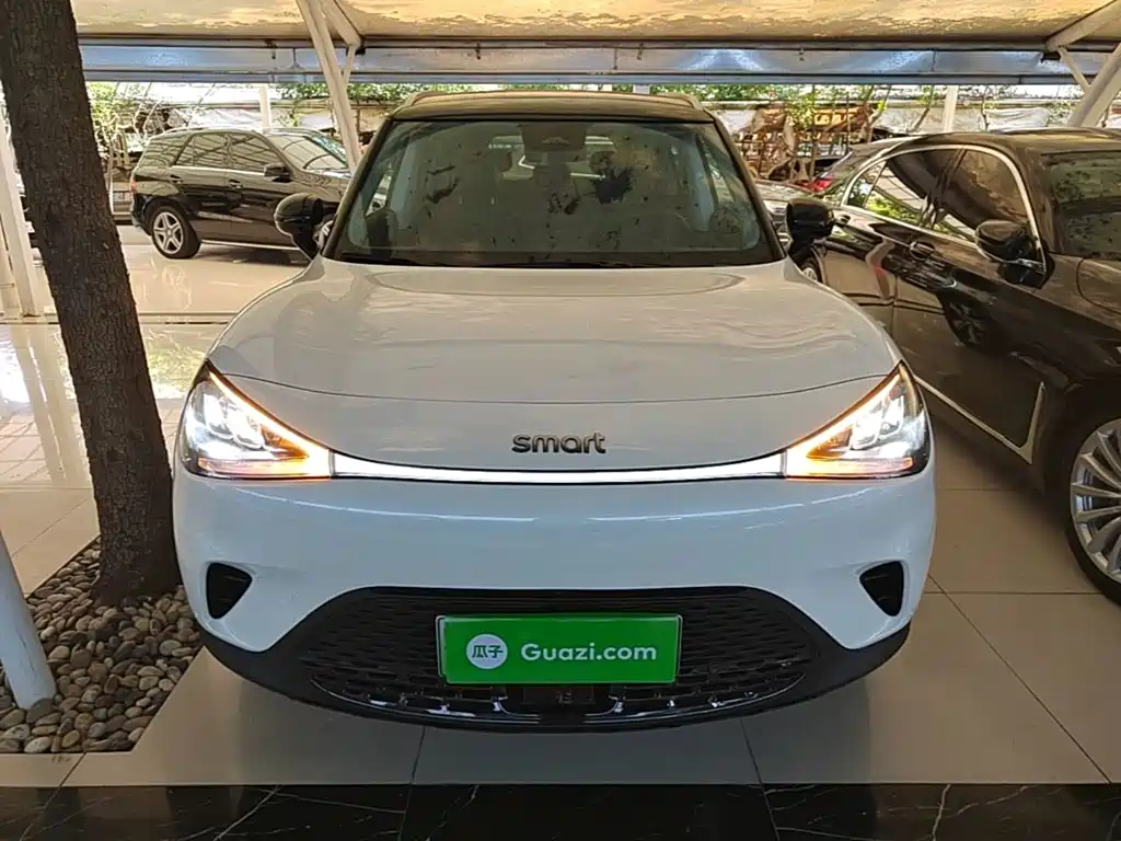 smart Elf #1 2025 2024 Agile Standard Edition