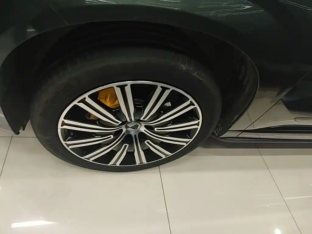 Denza N9 2025 2025 Flagship Model