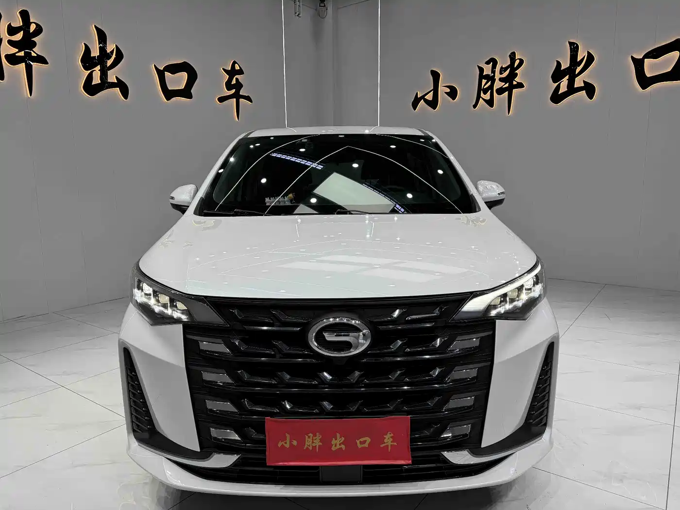 GAC TRUMPCHI M6