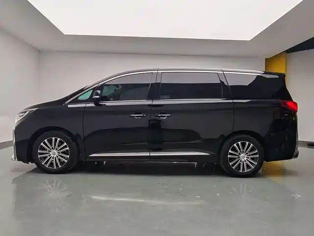 GAC Trumpchi Trumpchi M8 2021 Leading Show Series 390T Ultimate Edition фото 11