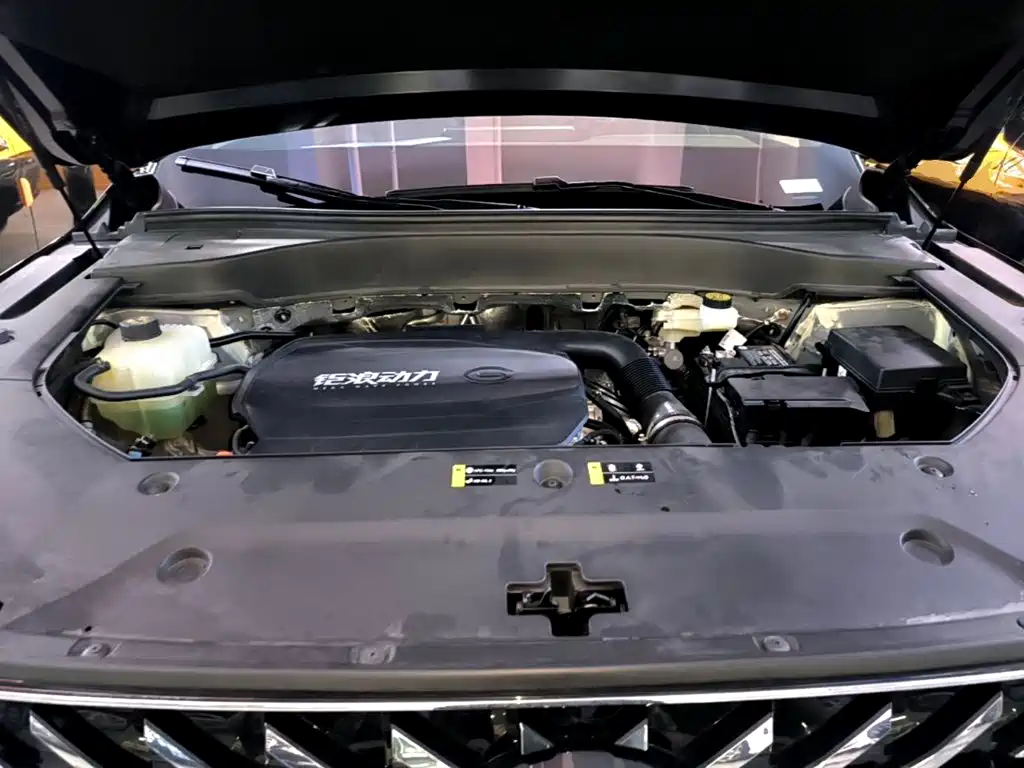 Photo 20 - GAC Trumpchi Trumpchi GS8
