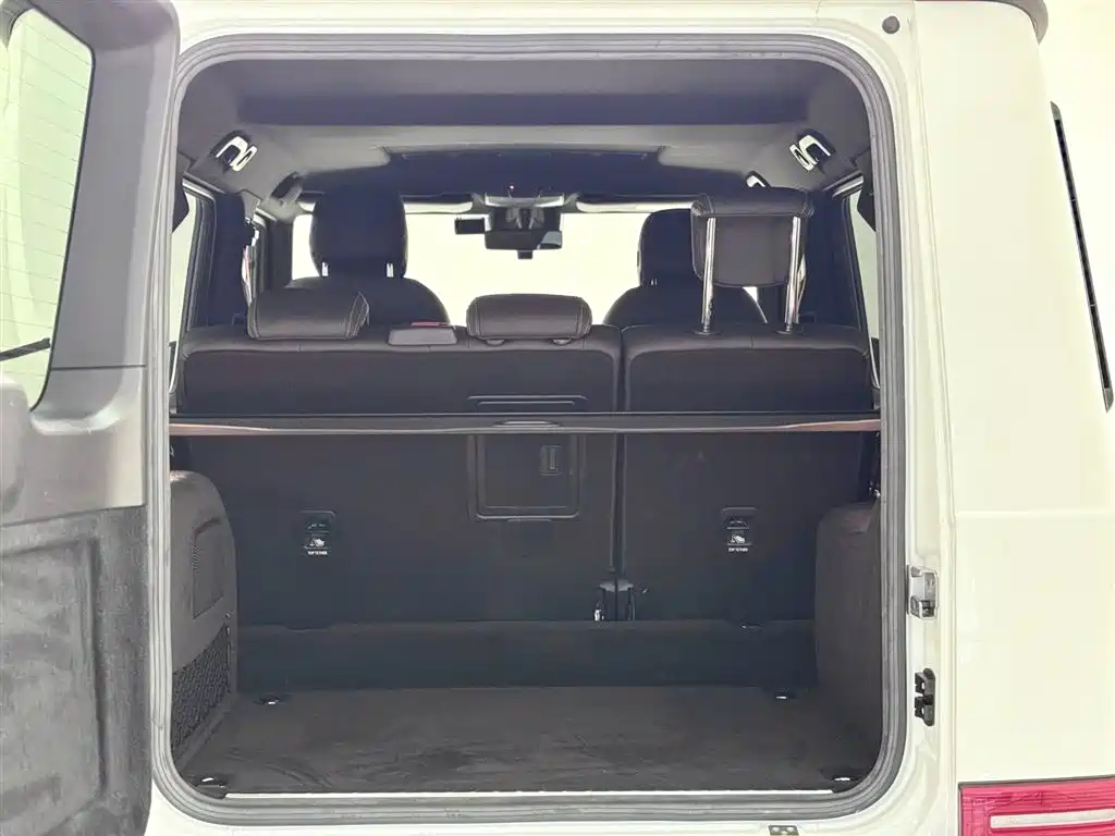Mercedes-Benz G-Class 2020 G 500 фото 11