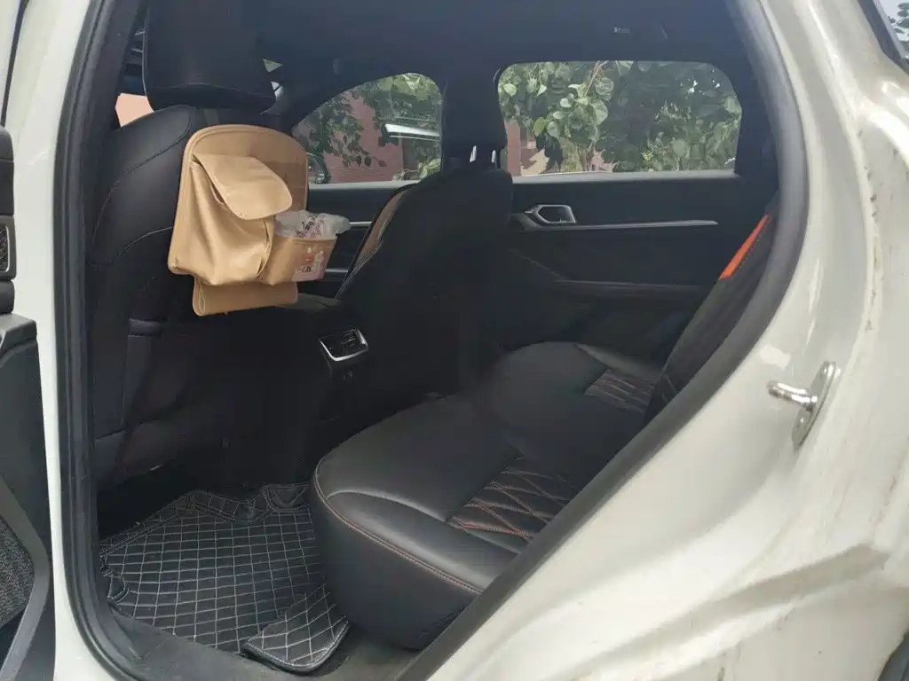 Haval Shenshou 2022 2022 1.5T Smart Leader Edition