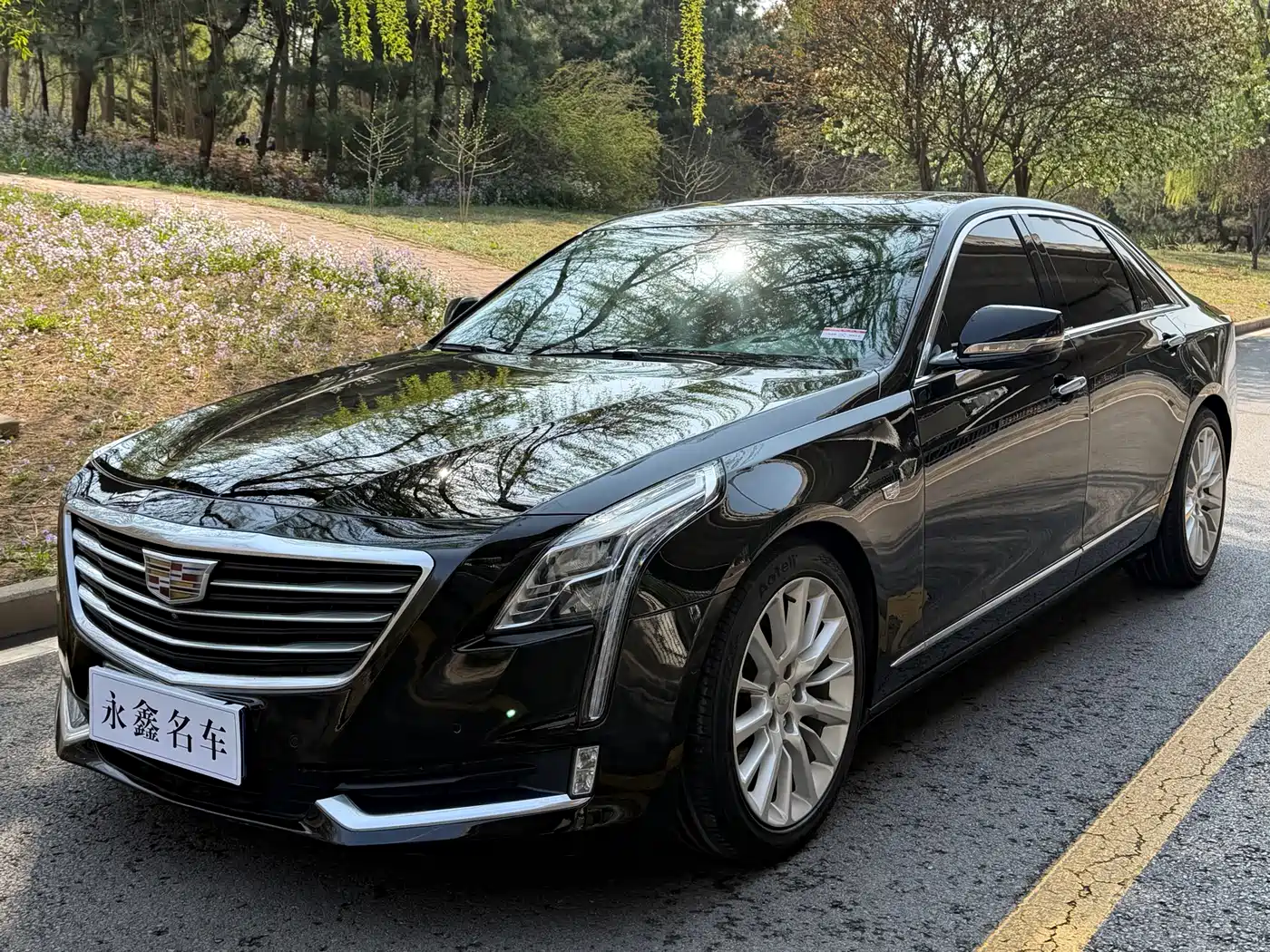 Cadillac CT6 2017 28T Premium