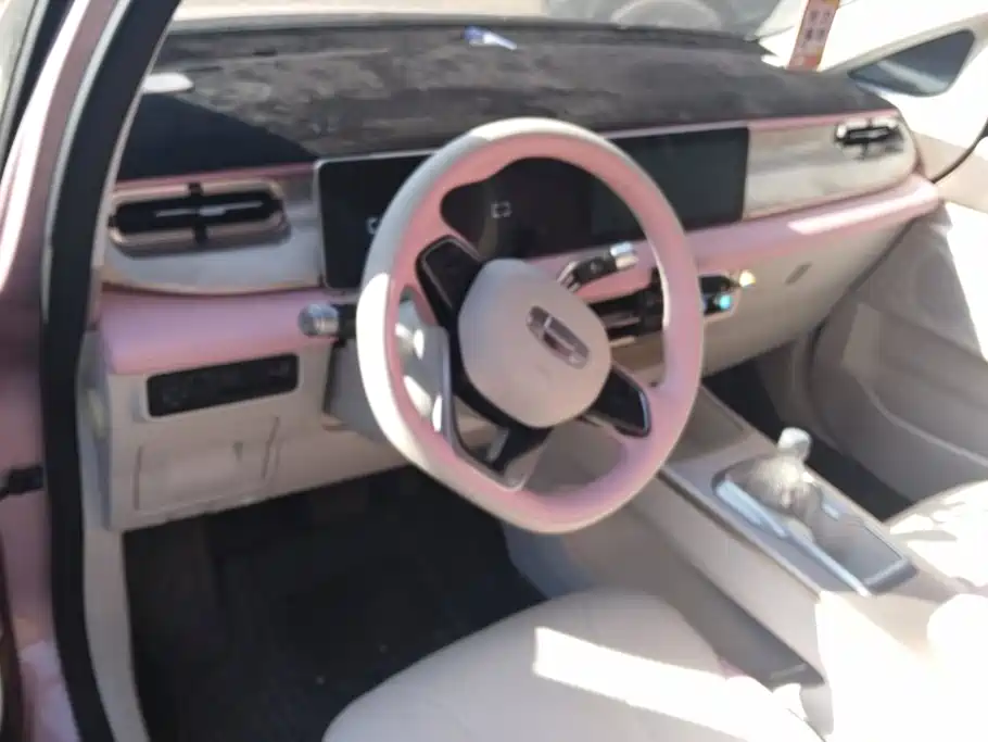 Geely Geometry E Firefly 2024 2024 Model 301km Starlight