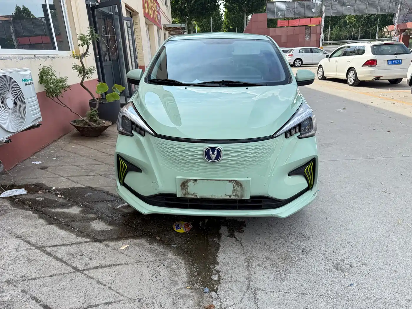 Changan Benben E-Star 2022 2022 Appreciation Edition Colorful LFP