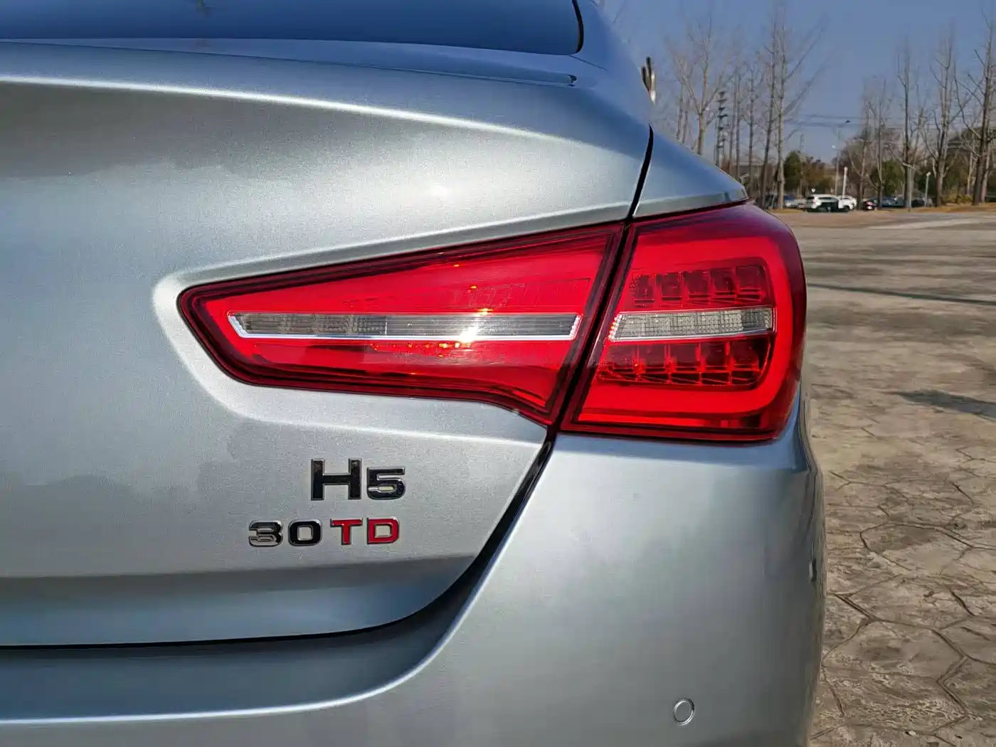Hongqi H5 2018 30TD Smart Connected Royal Edition фото 28