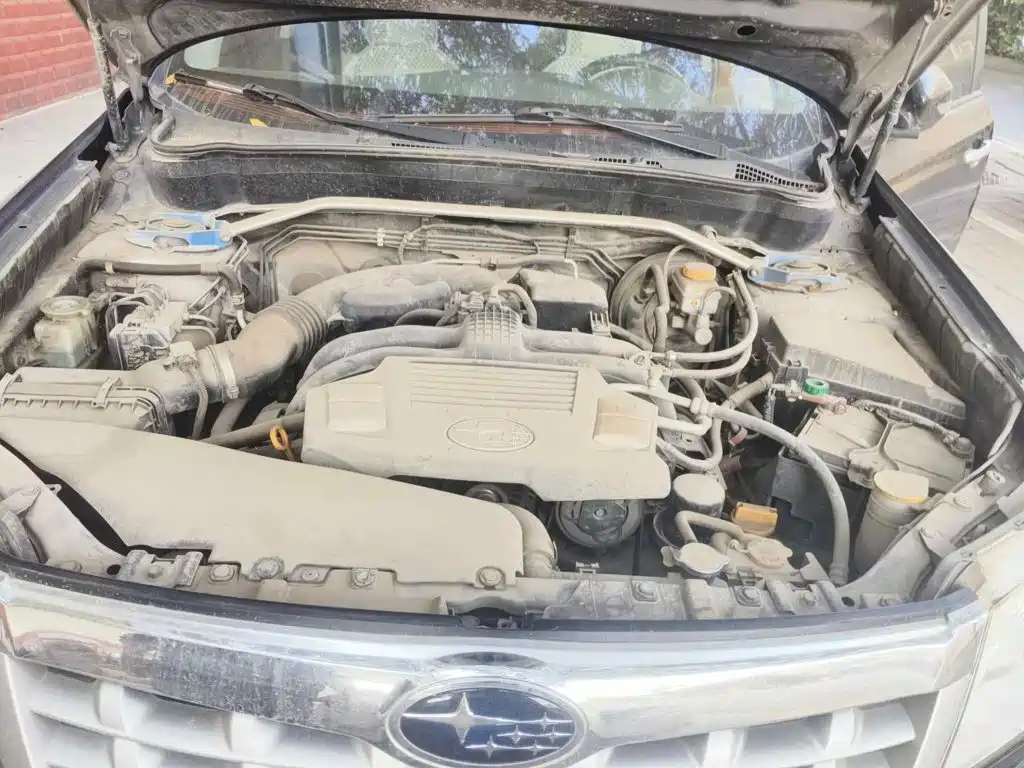 Фото 3 - Subaru Forester