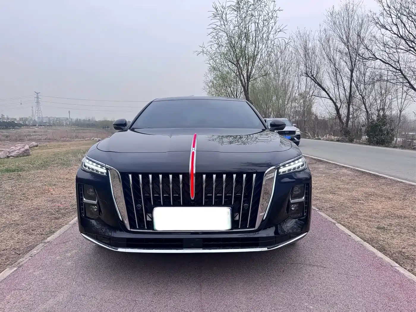 Hongqi H5 PHEV 2025 130 Super Hybrid Edition фото 2