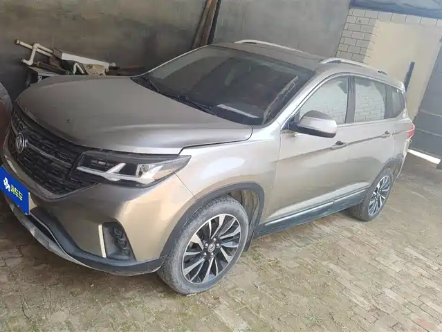 DONGFENG POPULAR T5