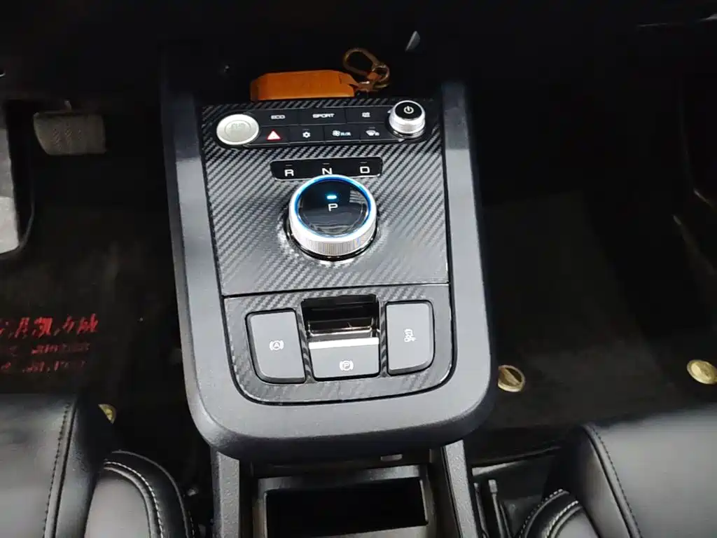 BYD e2 2020 2019 Long Range Yao·Luxury Model