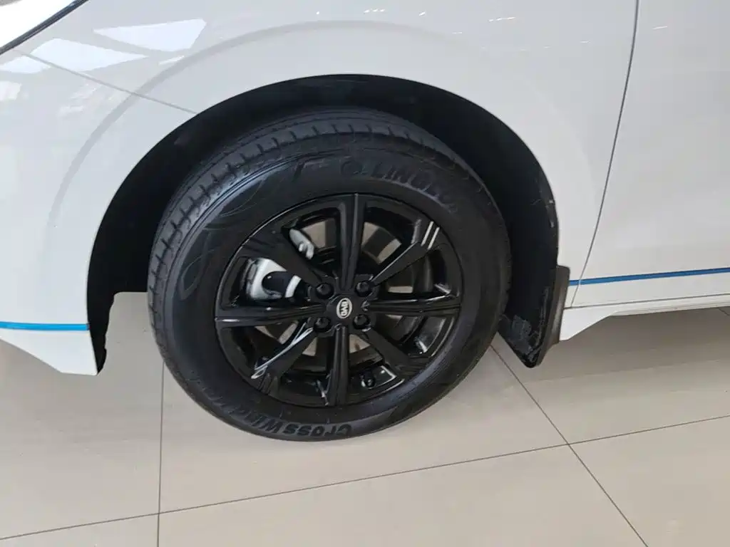 BYD e2 2020 2019 Long Range Yao·Luxury Model
