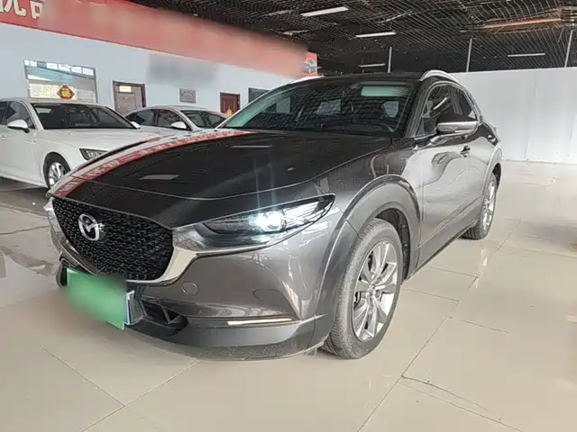  Mazda Mazda CX-30 2021 2.0L Auto Elegant Joy Type