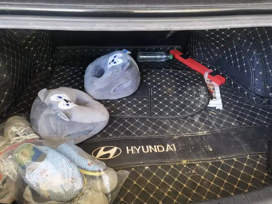 2022 Hyundai Mistra