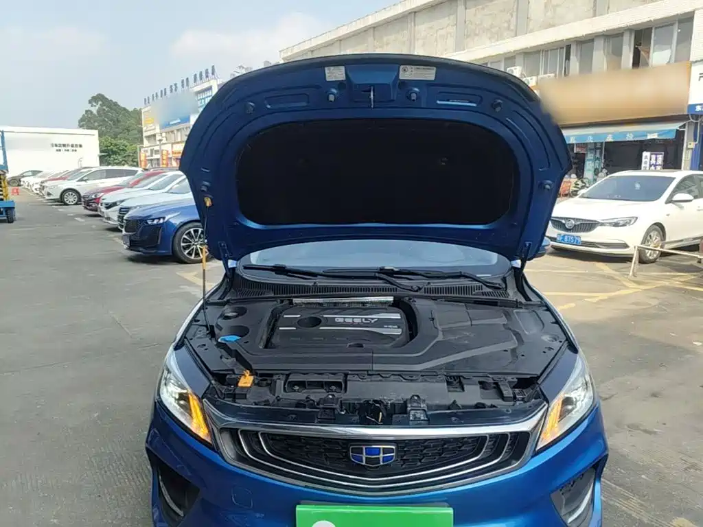 Geely Binrui 2019 2018 1.4T CVT Binzhi Edition