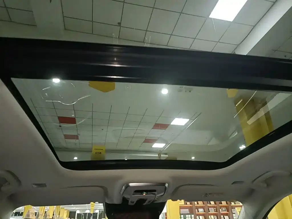 Hongqi E-HS9 2022 690km Qi Xiang Edition (6-seater) фото 18