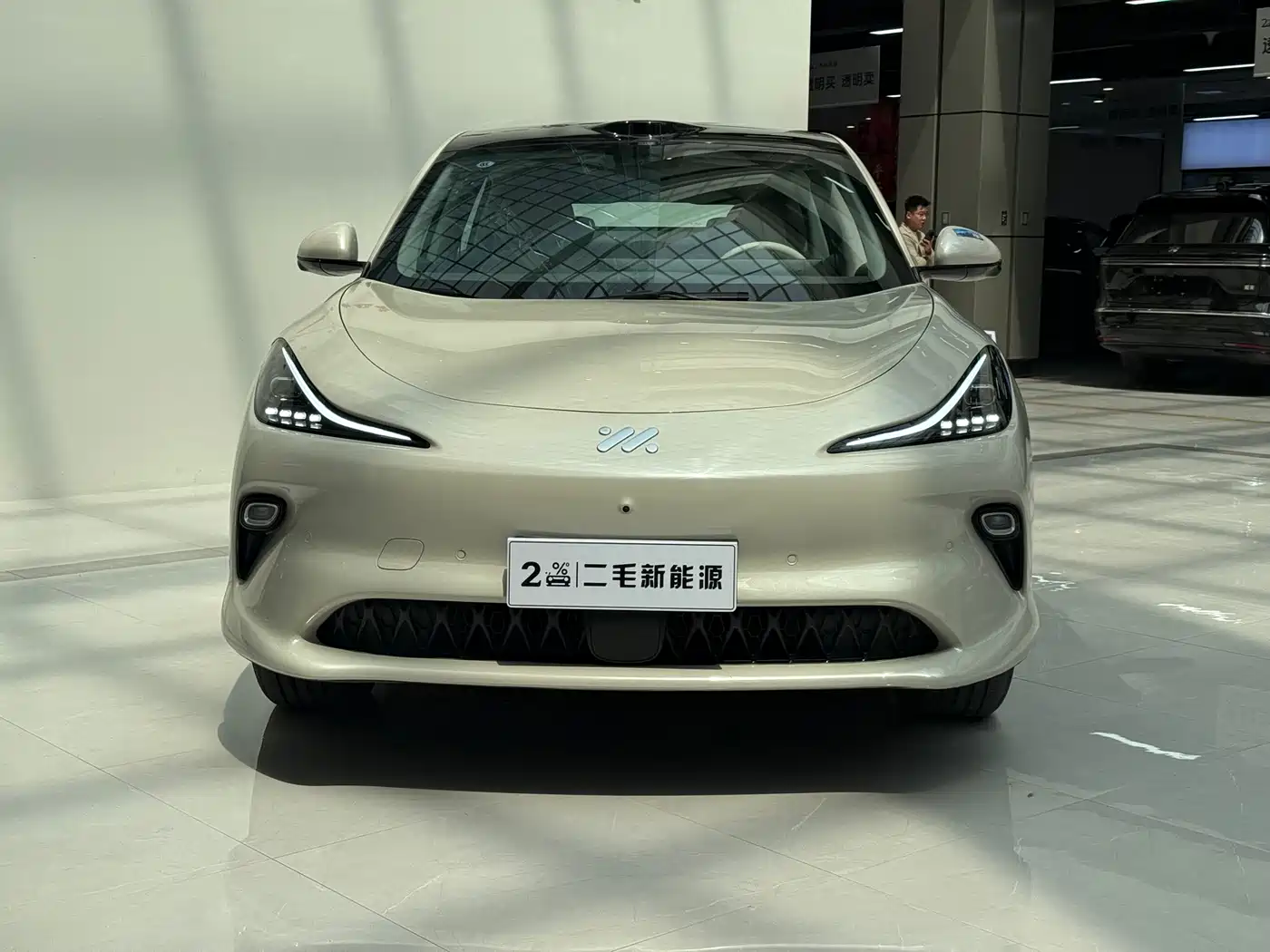 ZHIJI AUTOMOBILE ZHIJI LS6