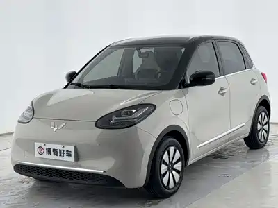 Wuling Bingo