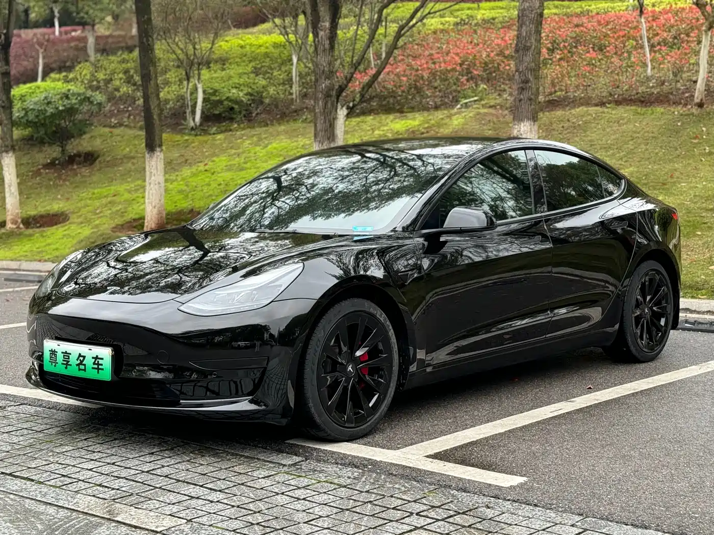 TESLA MODEL 3