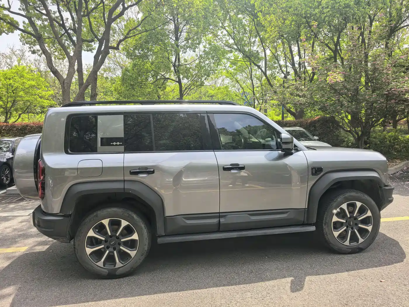 FANG CHENG BAO LEOPARD 5