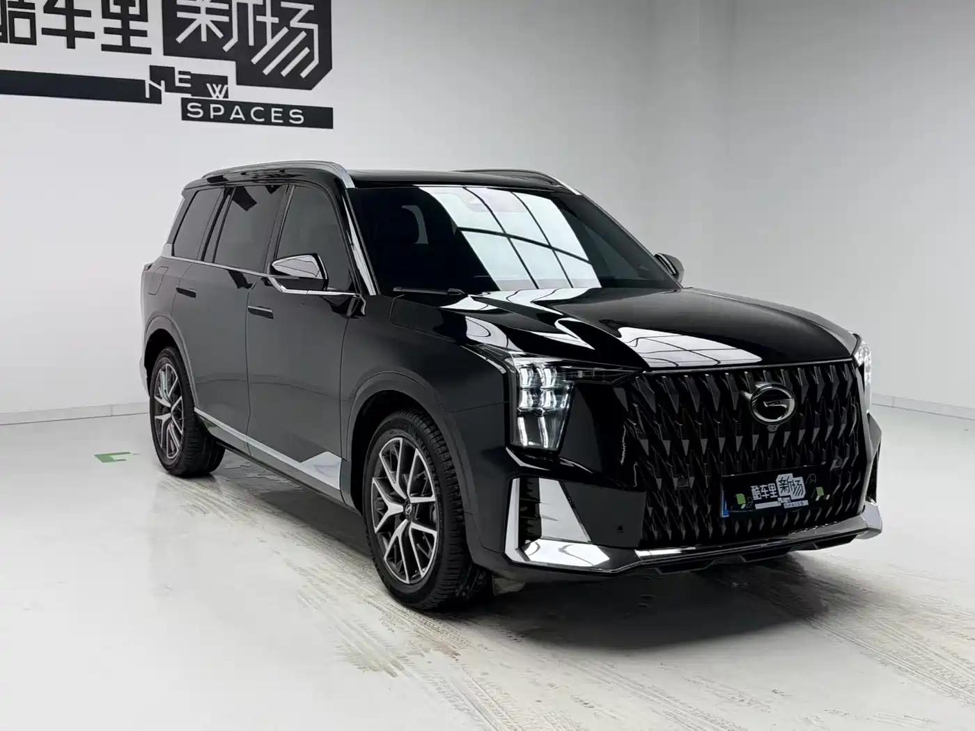 GAC Trumpchi Trumpchi GS8 2022 Dual Engine Series 2.0TM 2WD Premium Edition (7-Seater) фото 3